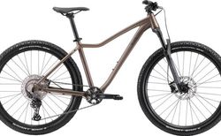 Bixs SPLASH 100 M beige matt | 101-506-4041-809-M | velomarkt.ch