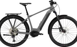 Bixs ACCESS-E30 L silber matt | 101-506-4148-209-L | velomarkt.ch