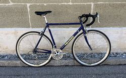 Villiger Vuelta L Blau/Gelb | I-101324 | velomarkt.ch