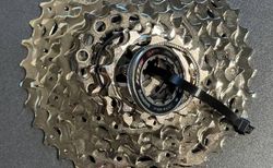 Shimano &amp; SRAM 11- &amp; 12-Fach Kassetten kaufen in Zürich #2 | velomarkt.ch