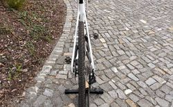 Canyon Inflite CF SLX 8 Di2 kaufen in Zurigo #2 | velomarkt.ch