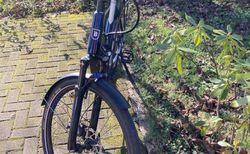 Damen E-Bike mit Bosch Performance CX Motor kaufen in Argovia #2 | velomarkt.ch