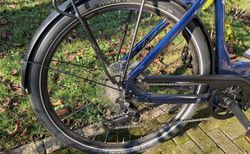 Damen E-Bike mit Bosch Performance CX Motor kaufen in Argovia #5 | velomarkt.ch