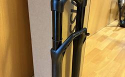 DT Swiss F232 29" Boost 120mm / 44 mm / 1 Monat alt | neuwertiger Zustand | velomarkt.ch