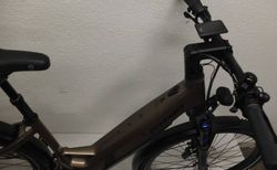 Stevens E-Universe 9.8.1 S honey brown | S24EUN981PF46 | velomarkt.ch