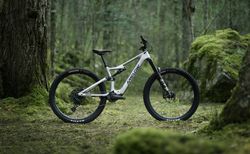 Amflow PL Carbon M silber kaufen in St. Gallen #2 | velomarkt.ch