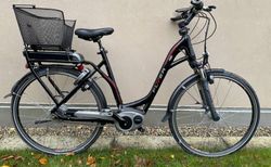 Neuwertig Flyer E-Bike B-Serie L | Top Ab Service | velomarkt.ch