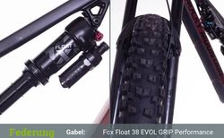 Rocky Mountain Altitude C70 (2023) kaufen in Zürich #5 | velomarkt.ch