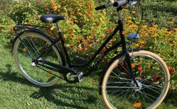 Damenfahrrad Ortler kaufen in Bern #2 | velomarkt.ch