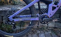 Specialized Demo Race 2024 kaufen in Argovie #2 | velomarkt.ch