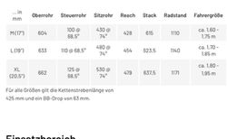 VTT 29er Race Hardtail kaufen in Freiburg #5 | velomarkt.ch