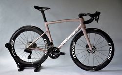 Neues Specialized S-Works Tarmac SL8 Carbon Rennvelo (56) Powermeter kaufen in Berna #5 | velomarkt.ch