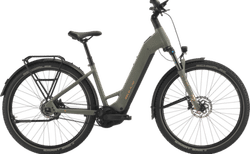 BULLS ICONIC EVO BELT S dark thyme-matt | 526802250040 | velomarkt.ch