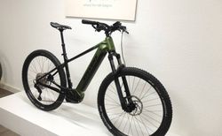 Stevens E-Juke 18 chrome green kaufen in St. Gallen #3 | velomarkt.ch