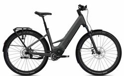 Flyer Goroc TR 7.33 | Flyer Goroc TR 7.33 | velomarkt.ch