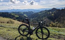 S-Works Venge | Neuwertiges Venge | velomarkt.ch