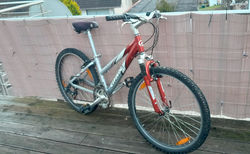 Giant MTB günstig abzugeben kaufen in Aargau #2 | velomarkt.ch