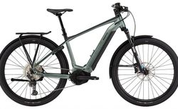 Bixs ACCESS E10 XL moss green | 101-506-1028-815-21 | velomarkt.ch