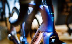 Pinarello DOGMA F - RED AXS / PRINCETON	Gr. 54 kaufen in Bern #4 | velomarkt.ch