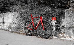 PINARELLO DOGMA F - DURA ACE / PRINCETON  Gr. 56 kaufen in Bern #3 | velomarkt.ch