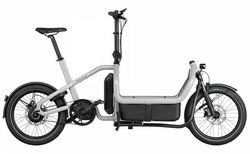 Riese & Müller Carrie vario | Riese & Müller Carrie vario | velomarkt.ch