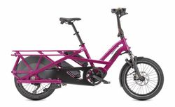 Tern GSD S10 | Tern GSD S10 | velomarkt.ch