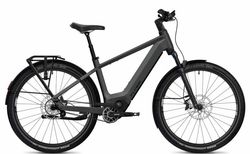 Flyer Goroc TR 7.33 | Flyer Goroc TR 7.33 | velomarkt.ch