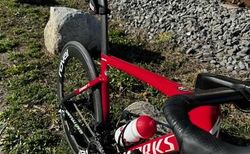 Specialized Rennrad Tarmac SL7 kaufen in Wallis #3 | velomarkt.ch