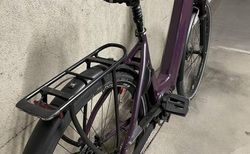 PRICE e-Bike kaufen in Basel-Stadt #5 | velomarkt.ch
