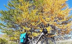 Merida e-One-Forty 475 (M&amp;XL) kaufen in Zurich #4 | velomarkt.ch