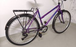 Alpina Citybike | ab Service | velomarkt.ch