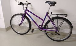 Alpina Citybike | ab Service | velomarkt.ch