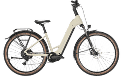 Bulls Iconic Evo 1 | pebble grey matte, S, SHIMANO Cues RD-U4000 | velomarkt.ch