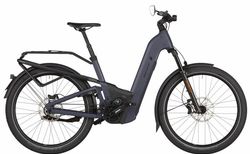 Riese &amp; Müller Homage 5 GT pinion HS kaufen in Zürich #1 | velomarkt.ch