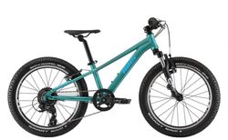 Bixs TRACTION 200 20 green | 101-506-2096-162-20 | velomarkt.ch