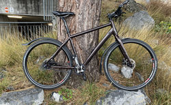 S Super Light | braun, S, Shimano Alfine SG-S700 | velomarkt.ch