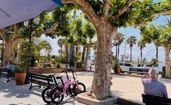 eflizzer Faltbares eBike ideal für Camper zu verkaufen | Neuwertiges faltbares eBike Marke eflizzer | velomarkt.ch