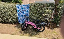 eflizzer Faltbares eBike ideal für Camper zu verkaufen kaufen in Aargau #2 | velomarkt.ch