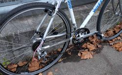 Stadtvelo mit Korb kaufen in Berne #2 | velomarkt.ch