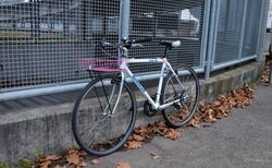 Stadtvelo mit Korb kaufen in Berne #3 | velomarkt.ch