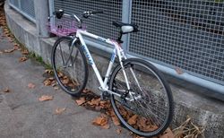 Stadtvelo mit Korb kaufen in Berne #4 | velomarkt.ch