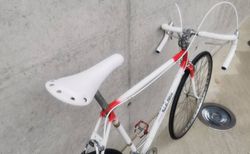 Rudi Altig Rennvelo kaufen in Argovia #4 | velomarkt.ch