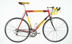 Battaglin+ Squadra Amica Chips Chiappucci VINTAGE | collection bike vintage original world tour | velomarkt.ch