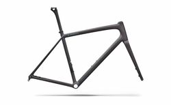 Specialized Aethos 2 SW Frameset 54 RTP RAW CARBON / PREMIUM FJORD METALLIC | 77226-0554 | velomarkt.ch