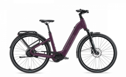 TDS CHARISMA 25 km/h | Sonderfarbe - purpur glanz, 48 cm / 19", Enviolo - Manuell und Gates-Carbonriemen | velomarkt.ch