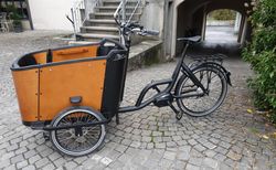 E-Cargovelo | Elektro, bis 4 Plätze, Guter Zustand | velomarkt.ch