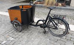 E-Cargovelo kaufen in Berne #2 | velomarkt.ch