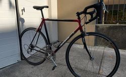 Carbon-Rennvelo Carat (Look) mit Campagnolo Komponenten | Vintage Carbon-Rennvelo in Gr. 56 (178 - 188cm) | velomarkt.ch