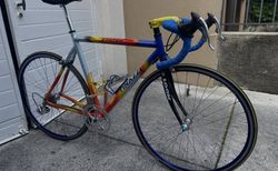 Rennvelo Tinazzi Status mit Campagnolo Komponenten | Vintage Aluminium-Rennvelo in Gr. 53 (168 - 180cm) | velomarkt.ch