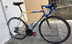 Colnago Master mit Campagnolo Potenza 11-fach Gruppe | Vintage Rennvelo in Gr. 54 (172 cm - 185 cm) | velomarkt.ch